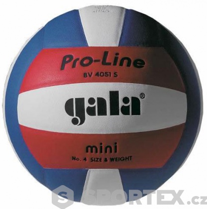 Volejbalový míč Gala Pro-Line Mini BV 4051 S