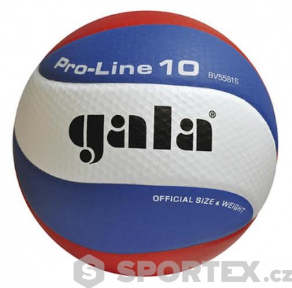 Míč na volejbal Gala Pro-Line 10 BV 5581 S