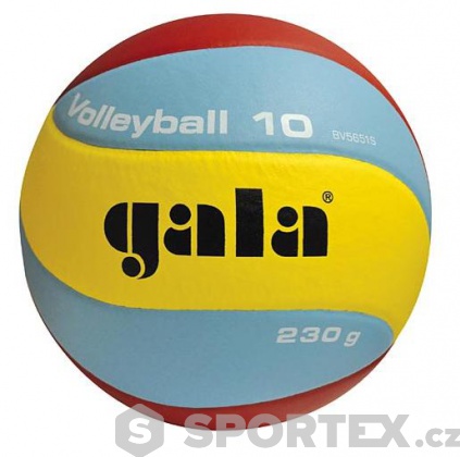 Míč na volejbal Gala Volleyball 10 BV 5651 S 230g
