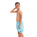 Chlapecké plavecké šortky Speedo Printed 15 Watershort Boy Alpine Blue/Pool/White