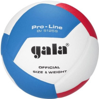 Míč na volejbal Gala Pro-Line 12 BV 5125 S