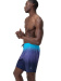 Speedo Lookout Ombre Flex Boardshort Harpuna Blue
