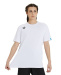 Pánské tričko Arena Team T-Shirt Solid White