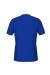 Pánské tričko Arena Team T-Shirt Solid Royal