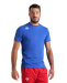 Pánské tričko Arena Team T-Shirt Solid Royal